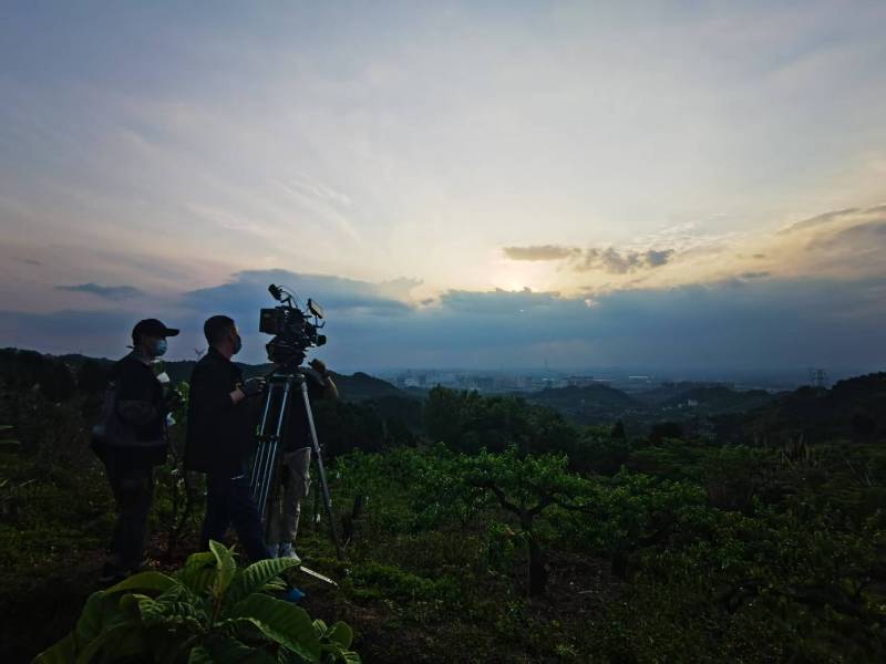 聚焦阜南县产品宣传视频拍摄公司，用专业实力铸就品牌传播传奇