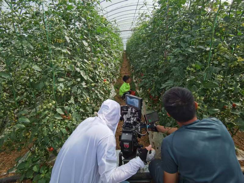 阜南县产品宣传视频拍摄公司进阶指南，助力品牌抢占传播高地